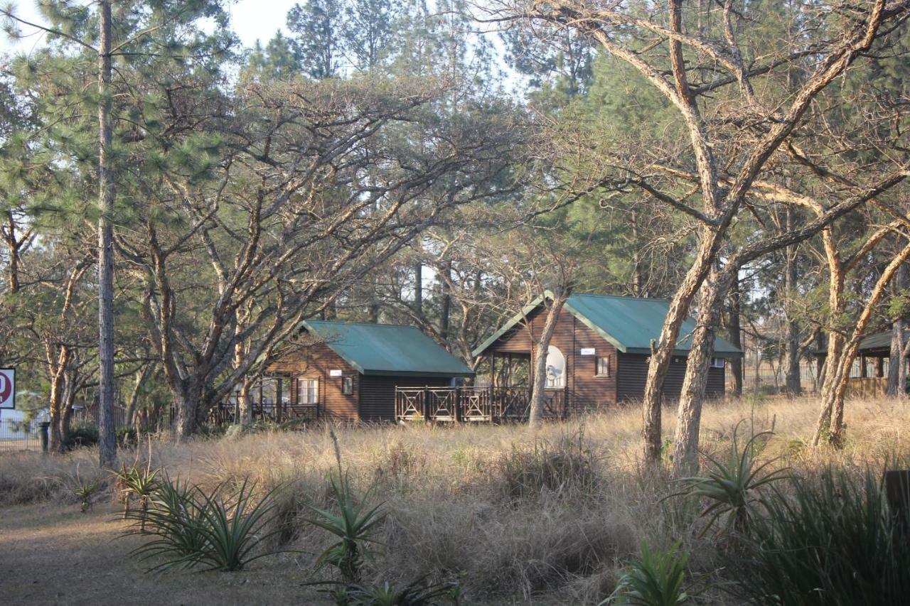 Acacia Bush Lodge Pietermaritzburg Extérieur photo